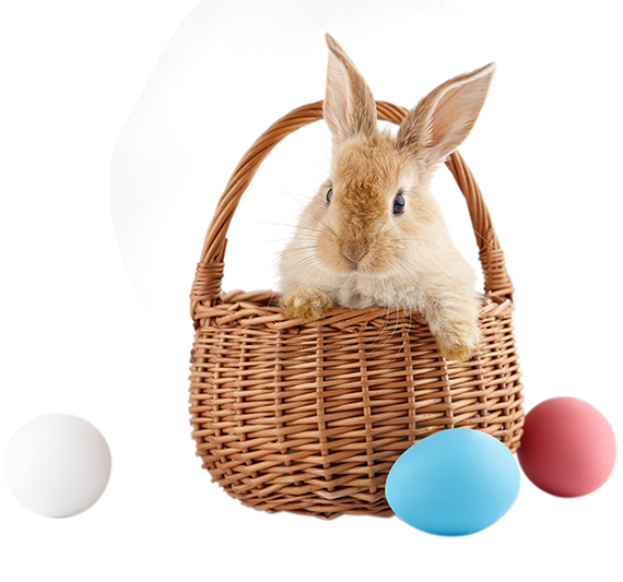 Ginger Easter bunny rabbit in basket with colorful eggs, holiday concept