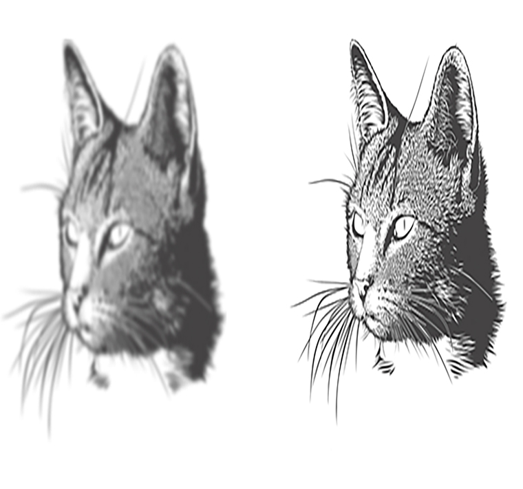 Raster to Vector service Pixele Photo Editing Lab